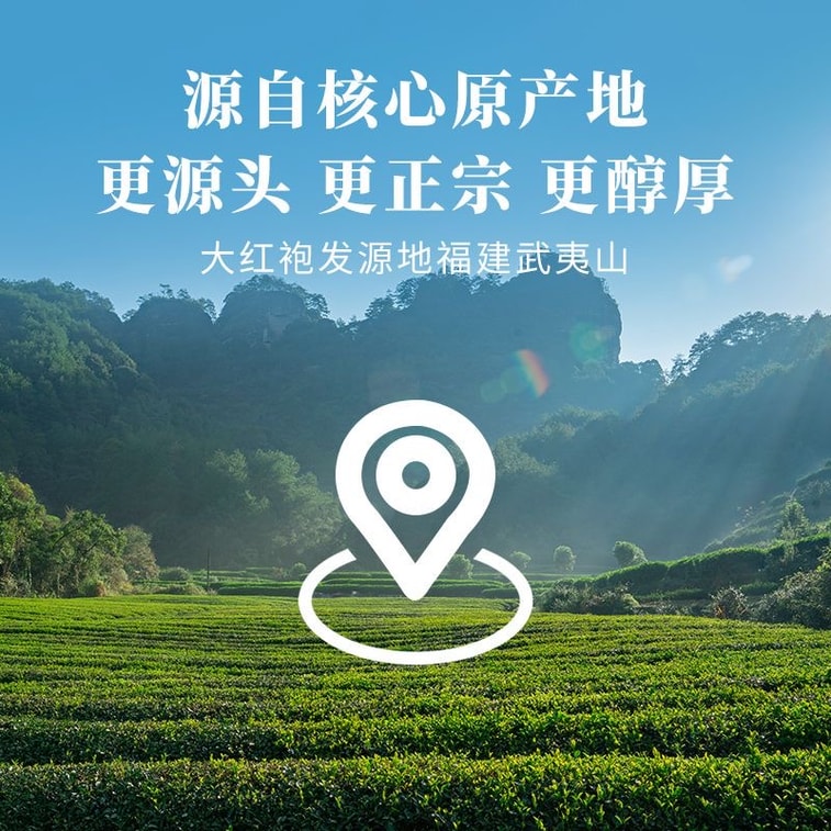 【中国直送】八馬茶業 本場武夷山大紅袍茶 岩茶 香り高い烏龍茶 丈夫で美味しい日常茶 200g 6