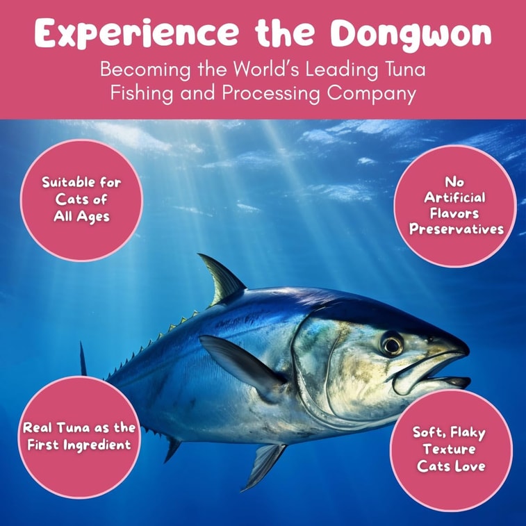 Queen's Cat & Nutri Plan ウェットフード (5.64 オンス) - 韓国のブランド。 4