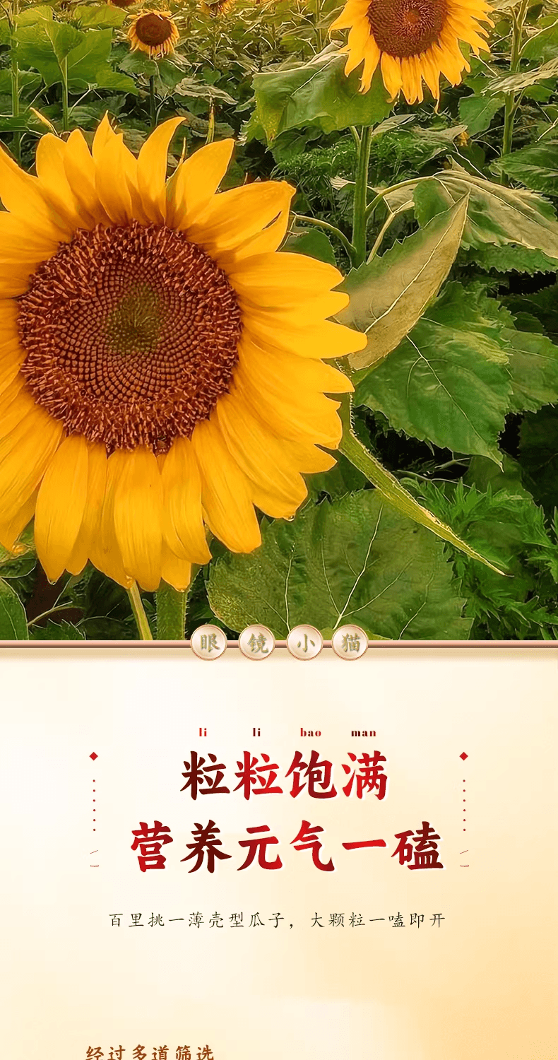 【中国直邮】 眼镜小猫 休闲零食品瓜子特产葵花籽【五香瓜子】150g/袋