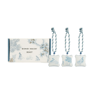 Co-branded Osmanthus Eucalyptus Scented Hanger Set Wardrobe & Car Aromatherapy