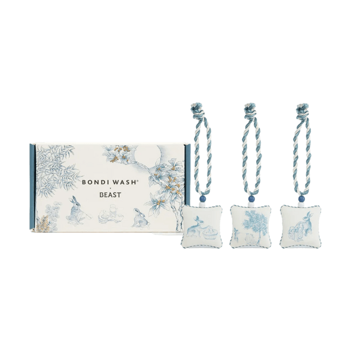 Co-branded Osmanthus Eucalyptus Scented Hanger Set Wardrobe & Car Aromatherapy