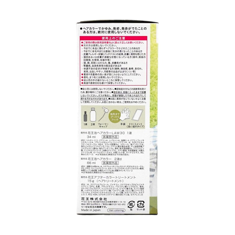 日本KAO花王 LIESE莉婕新升級輕鬆泡泡染髮劑 黑髮專用染膏 附染髮工具護髮素 #Citron Ash 青檸亞麻灰 3