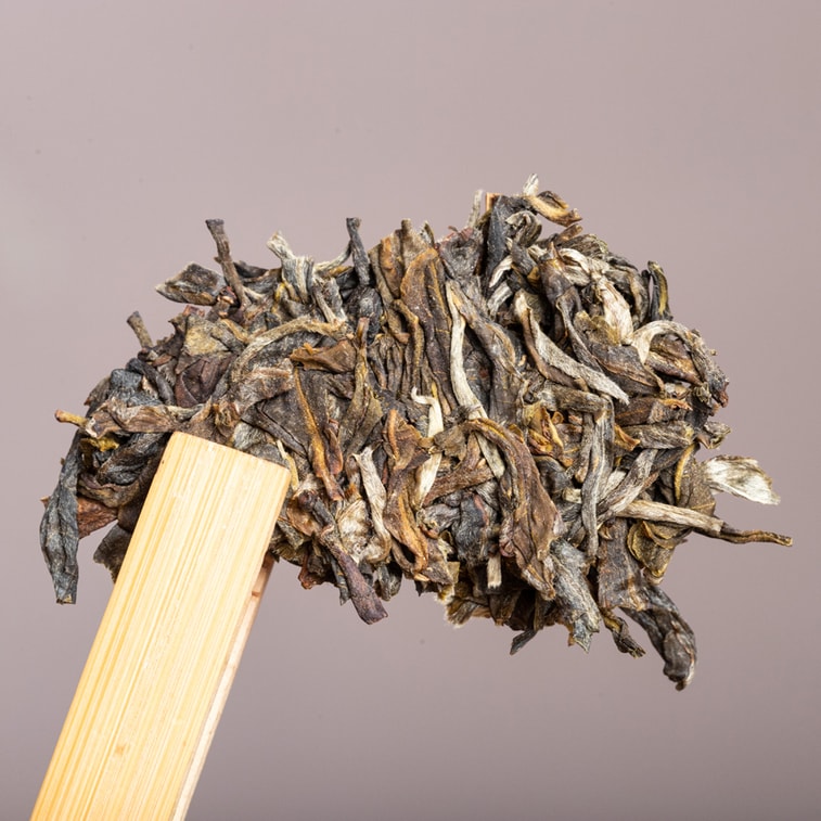 仁信昌 云南普洱生茶 南糯山2021古树普洱茶叶 357g 5