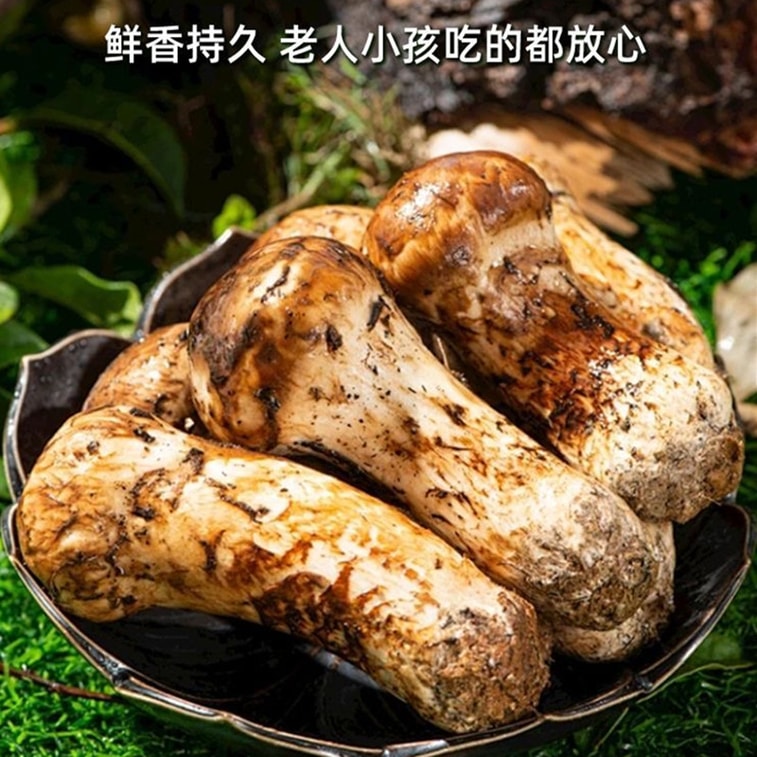 【中国からの直送】偏食家向け松茸調味料 100g - 野菜やきのこ類（炒め物）用の健康的で栄養価の高い調味料パウダー 3