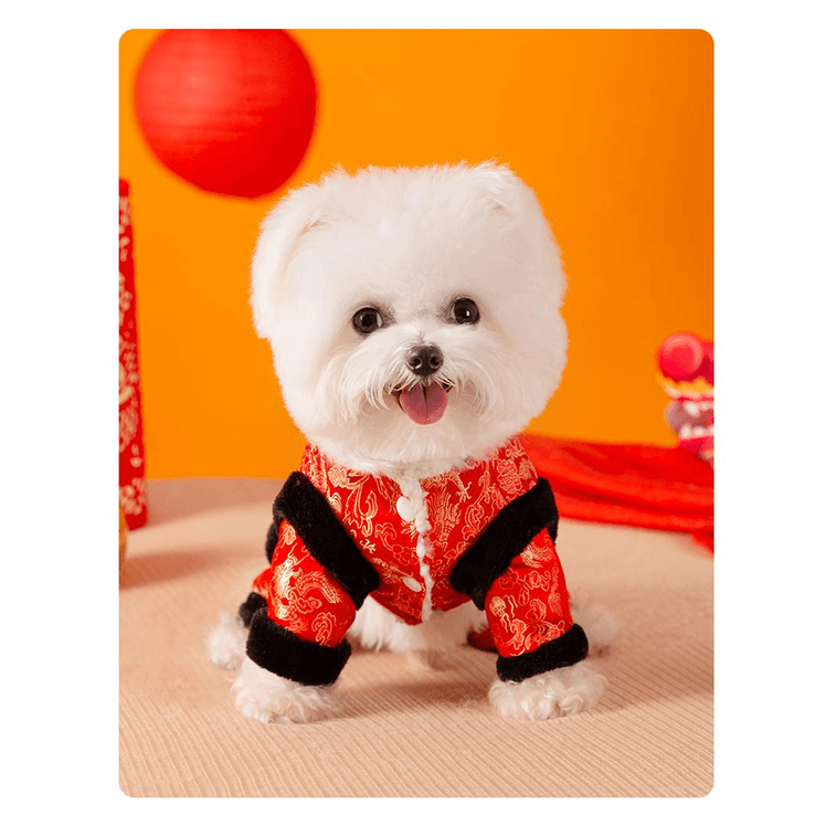 【中国直送】ヒッピー犬用 フェスティバル タンスーツ Mサイズ (5-8ポンド) 42*30cm*1枚 3