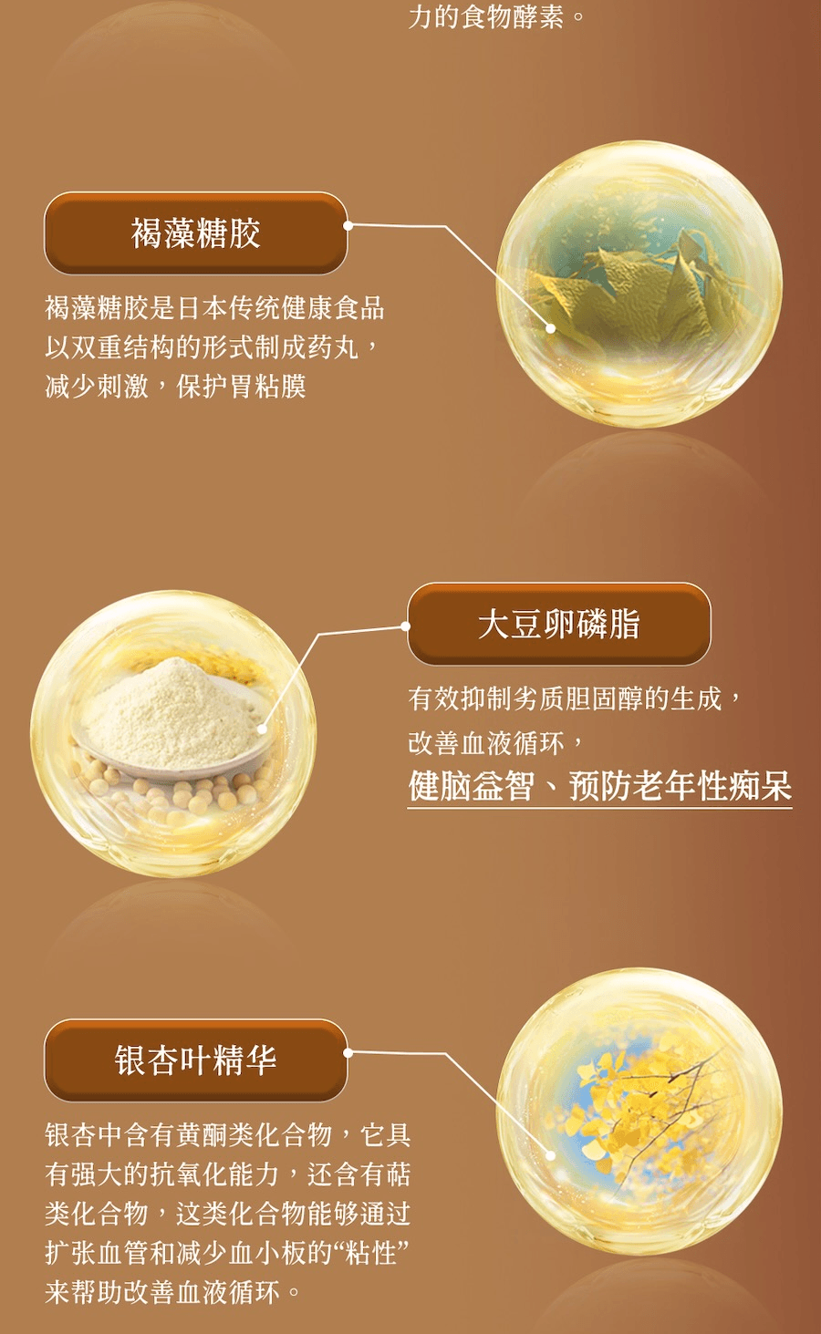 日本 UMEKEN 【產】 纳豆激酶(添加褐藻糖胶) 96克 【5000FU强效通血管】【溶栓护心脑 】【预防中风脑卒中必备🧠 】【改善三高×降血压】【中老年人日常血液循环管理必入🧬🫀】