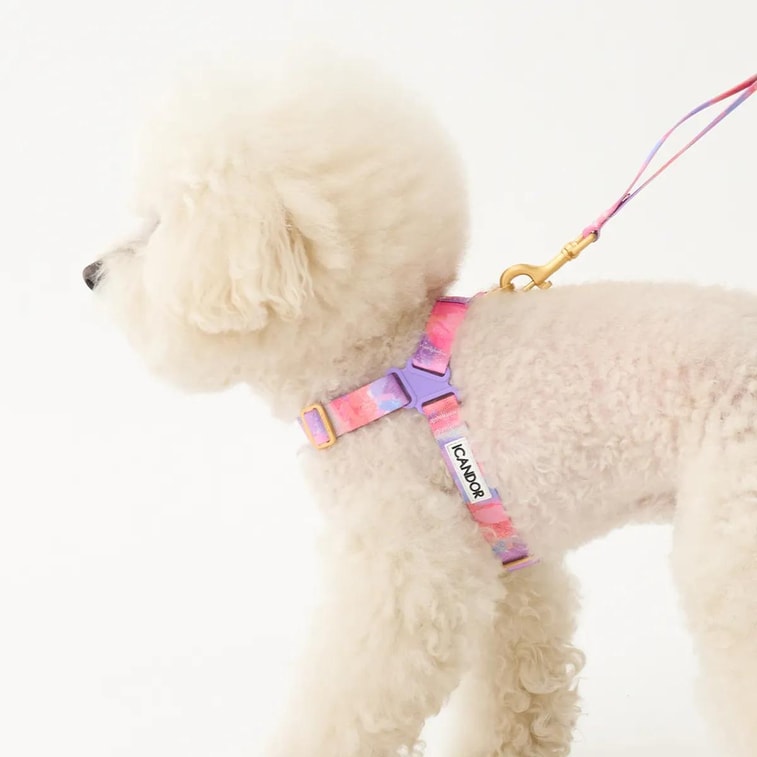 No-Pull Pet Dog Harness Milky Way L Neckline16.1~20.1in Chest20.1~25.2in 18~29lb 9