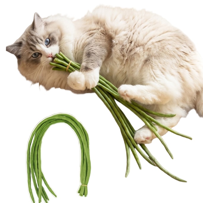 Imitation Bean Stalk Cat Teaser, 1 Stick With 6 Pieces. Bite-resistant, Entertaining, Soft And Harmless Interactive Toy For Cats