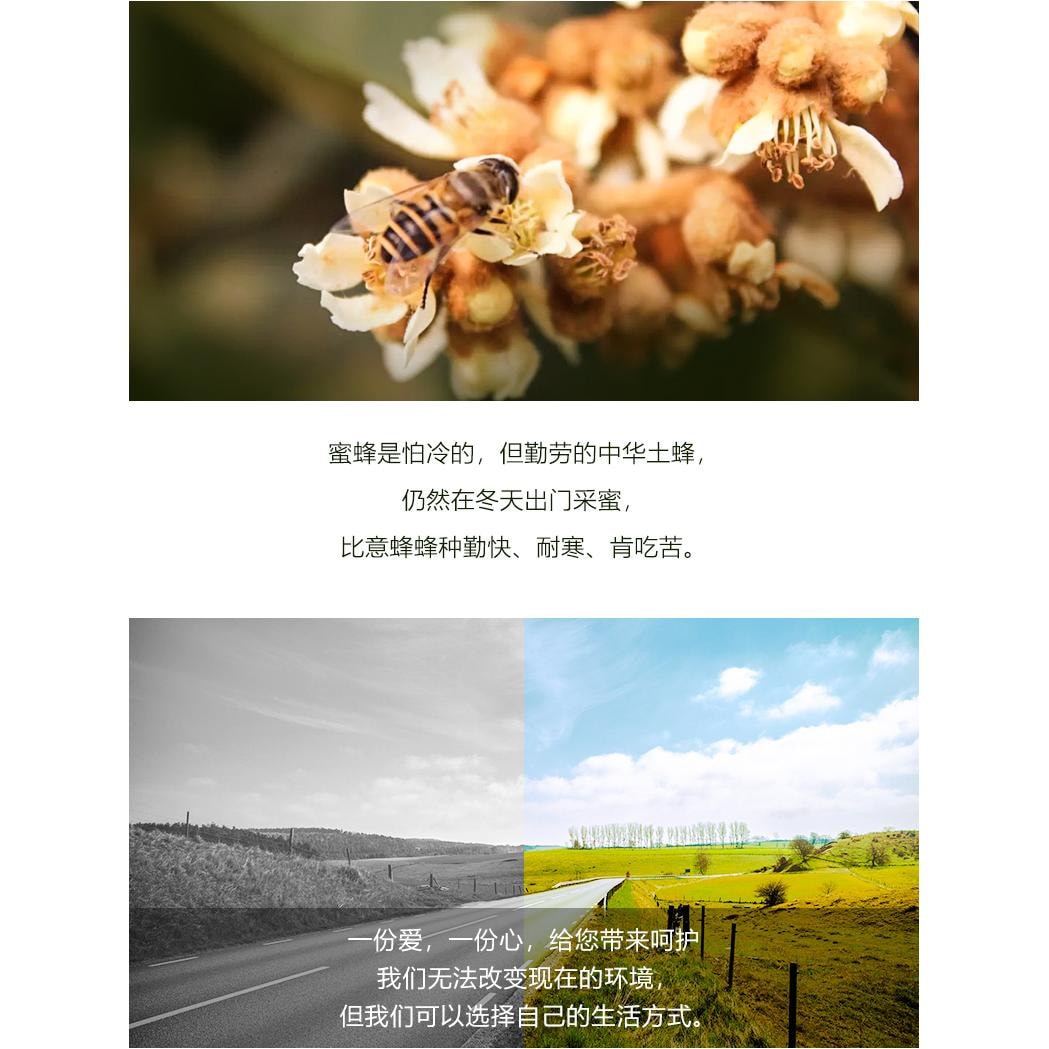 【中國直郵】 九蜂堂 天然野蜜枇杷蜂蜜50g*1瓶
