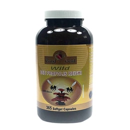 Cand-Gold Wild Bee Propolis Reishi 365Capsules