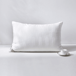 Antibacterial Silk Pillow White 48x74cm