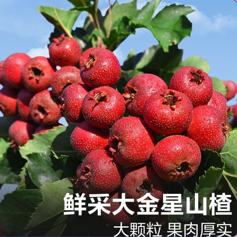 Longyutang Hollow Hawthorn 100g, Additive-free, Zero Sucrose, Pitted Preserved Fruit, Sweet And Sour Taste, Appetizing And Aiding Digestion 10
