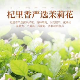 杞里香 广西产地 香茉莉花 花茶 28克 新产季 可配绿茶同饮