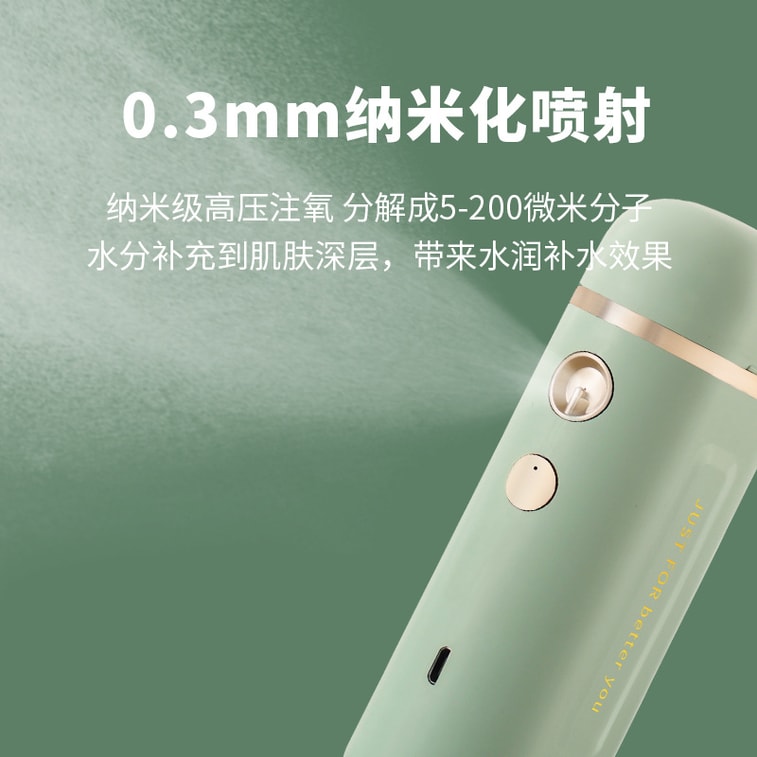 High Pressure Handheld Oxygen Injection Device, Nano Spray Facial Hydrator Portable Home Steamer 1 Unit 3