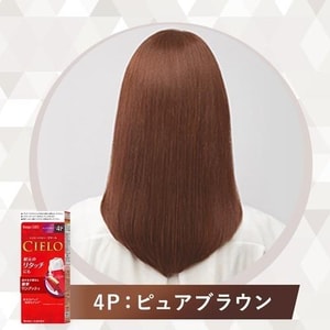 Plant Covering White Hair Press Type Hair Color Cream 4P