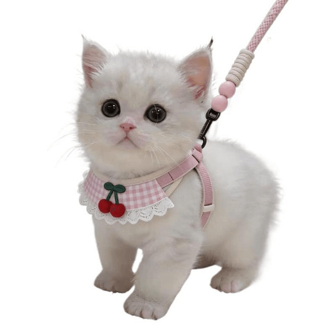 Breathable Anti-Escape Cat Harness & Leash, For 8-16 Lbs, Cherry Pink, 1pc