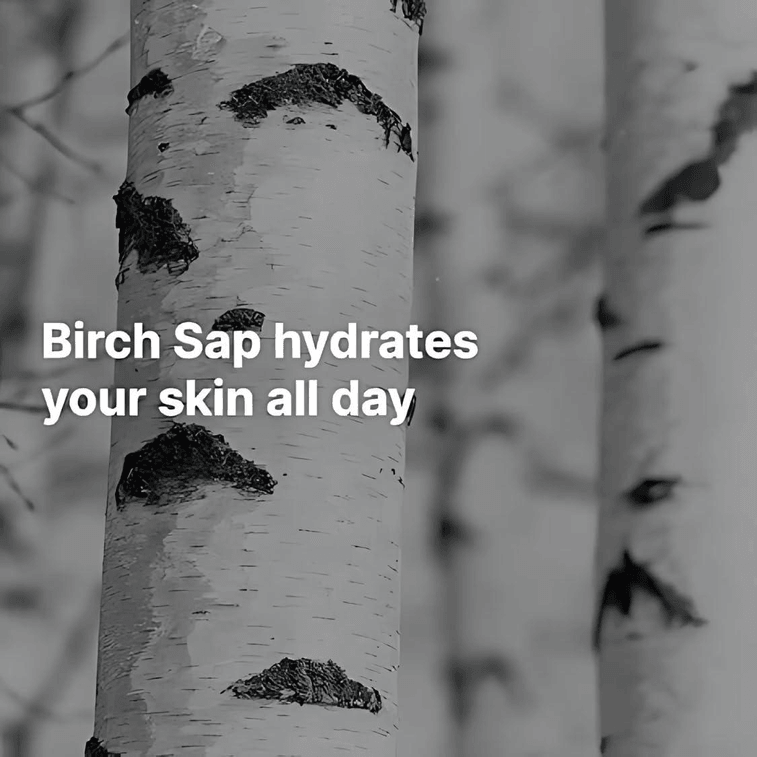 【美国直邮】韩国 Round Lab桦树汁保湿防晒霜 50毫升 6