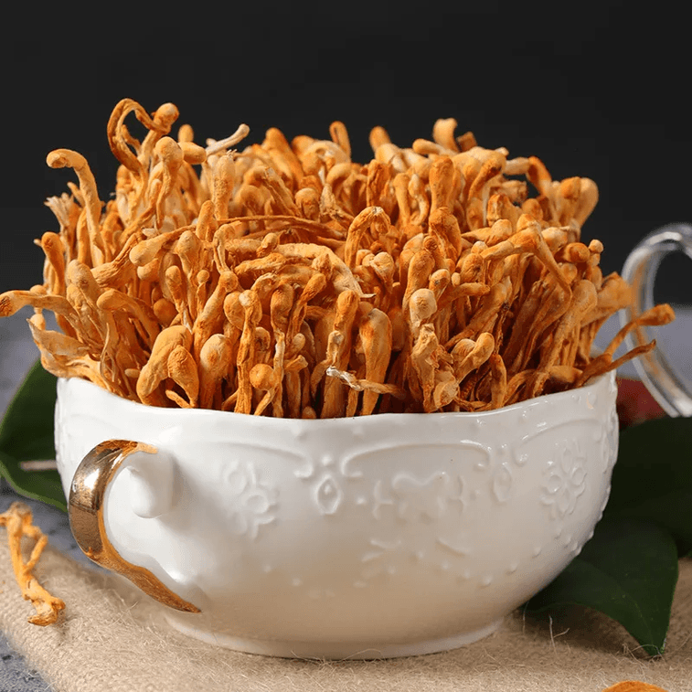 균연 동충하초 건조 북동충하초 번데기 동충하초 금동충하초 수프 재료 균류 수프 팩 그물버섯 50g*1팩 3
