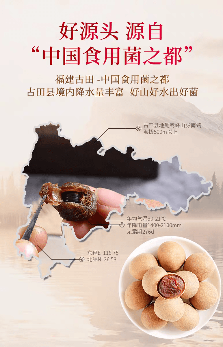 菌妍 桂圓乾福建莆田特產龍眼乾泡水喝乾貨桂圓肉非無核新果100g*1袋