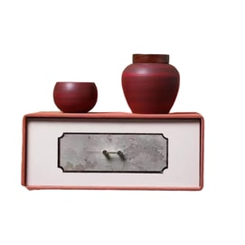 Chinese-style Tea Gift Set · Secluded by the Spring: 1 Tea Cup & 1 Tea Canister [Aged White Tea 25g]