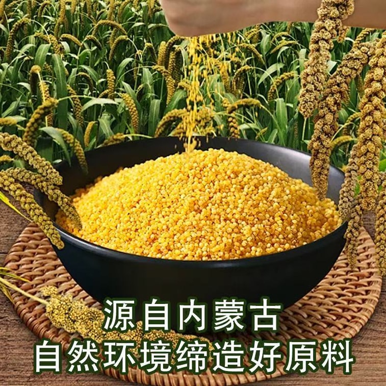 Fried Rice Yogurt Mix Ice Cream Milk Tea Mongolian Cuisine Special Inner Mongolia Fried Rice Original Flavor Rich in Nutrition Low-calories 500g 13