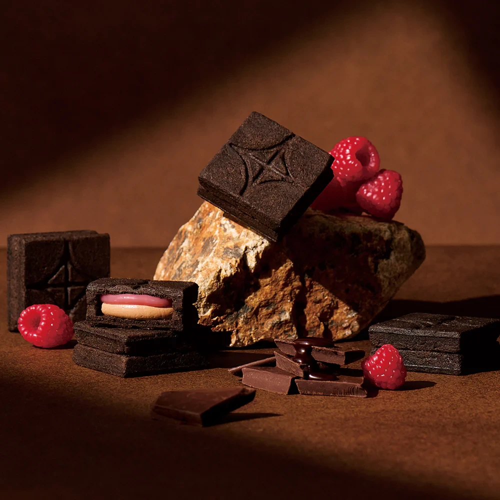 【日本直郵】 日本 press butter sand 新品 奢華樹莓巧克力夾心奶油餅乾 5個裝