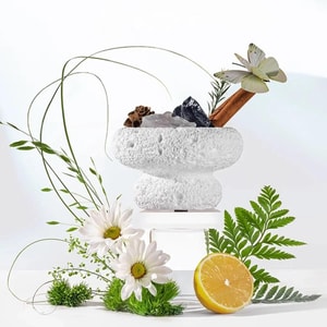 Four Seasons Collection Fragrance Stone - Elegant White Tea & Exquisite Floral Scent 