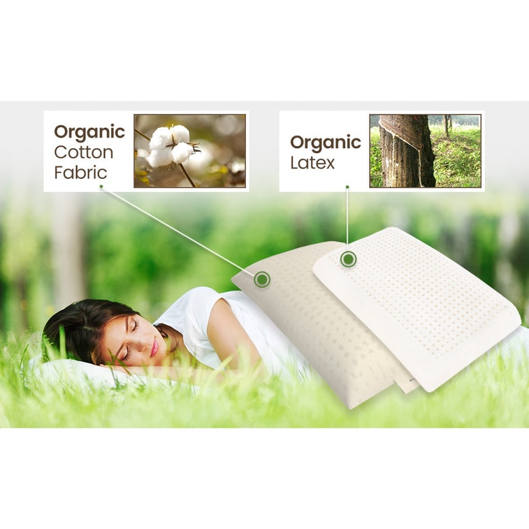 Organic Latex Pillow - Organic Natural Foam Cotton Cover Queen Large Size 3