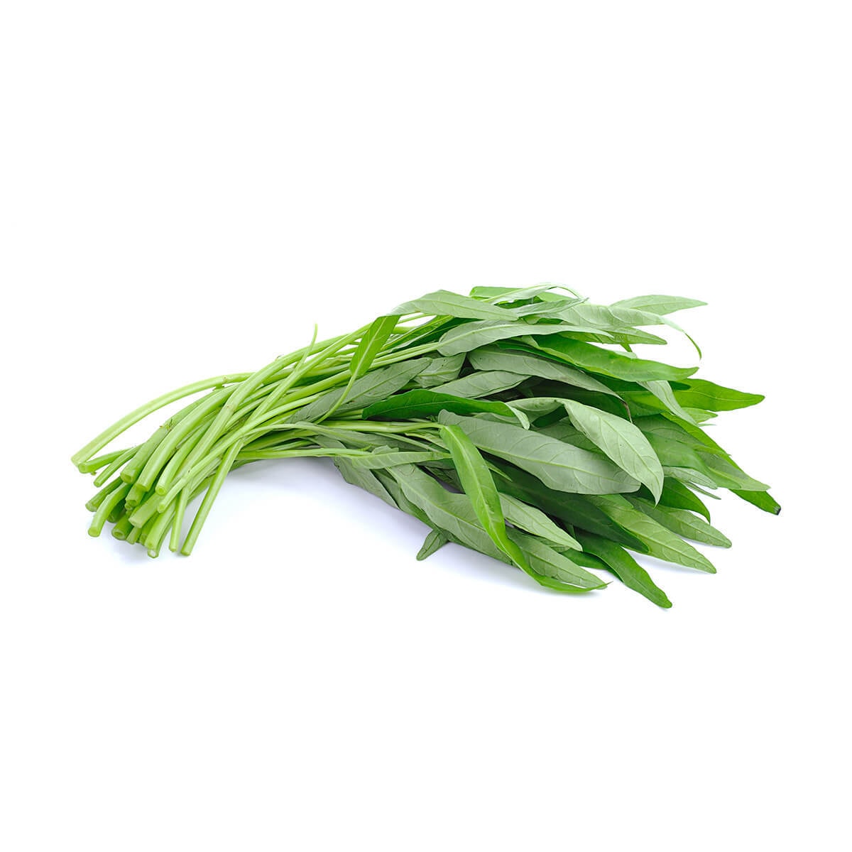 空心菜1磅怎么样