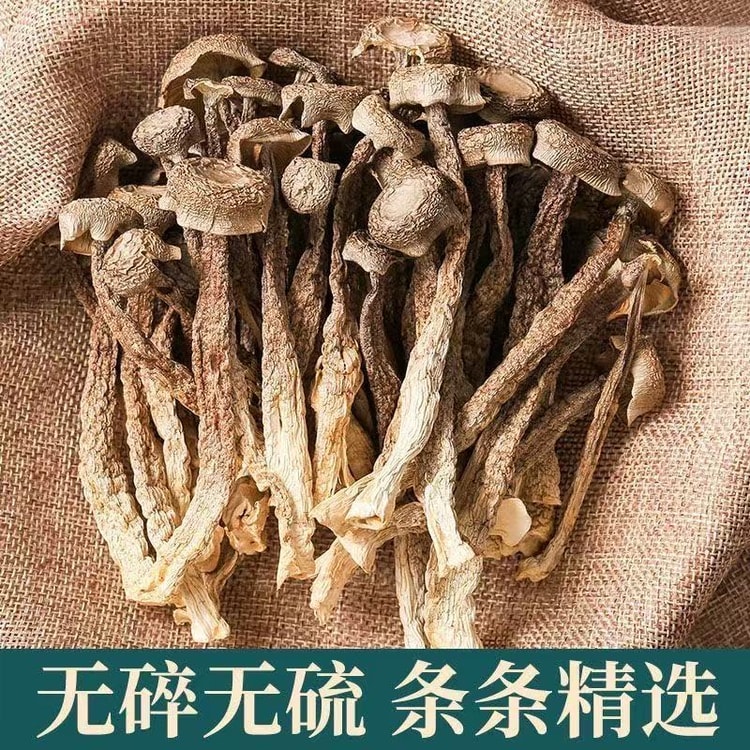 中国からの直送】緑燕【福建特産】鹿角茸、1袋250g、新鮮、乾燥丸ごと