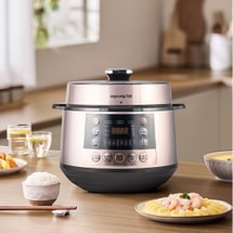 Electronic Pressure Cooker Y-50C19