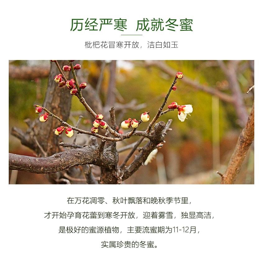 【中國直郵】 九蜂堂 天然野蜜枇杷蜂蜜50g*1瓶