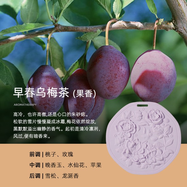 FOXTAIL 【高颜值】艺术雕刻石膏香薰扩香石 车挂衣柜挂件 创意礼品 女生伴手礼 -早春乌梅茶味 1个