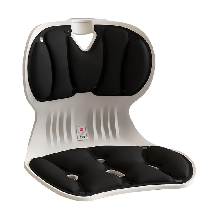 Standard Lumbar Support Cushion, Ergonomic Backrest for Posture, Universal Chair Fit, Mystic Black 5