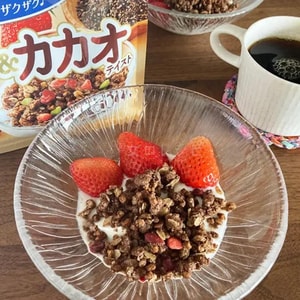 日本CALBEE卡乐比 Frugra富果乐 减糖水果麦片 浆果可可味 550g