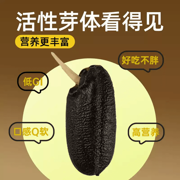 【中国直邮】 糙米大匠 发芽黑糙米500g黑米杂粮粗粮新米 4