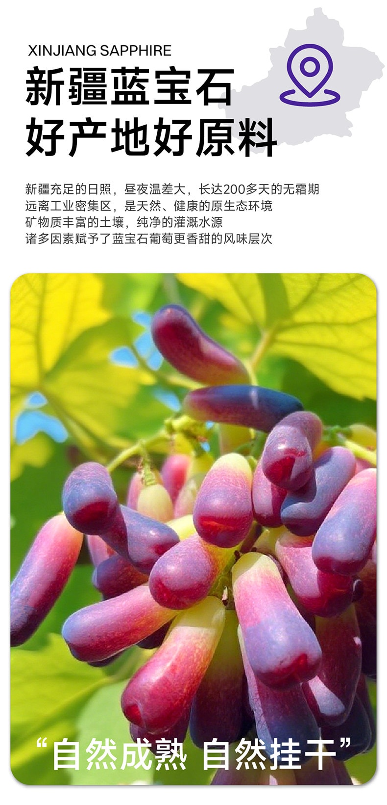 【中国直邮】 牧果人 特选新疆蓝宝石葡萄干 【特大4-6cm】 天然无添加 138g*1罐 【超大免洗美人指】