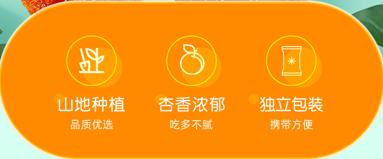 【中国直邮】 岳先生 无核大杏肉杏干个大独立小包装休闲零食果干果脯蜜饯88g+17.6g*1袋