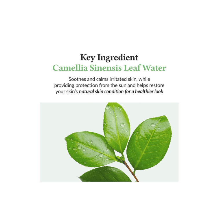 Green Tea Fresh Sunscreen / 45ml / 1.52 fl.oz. 3