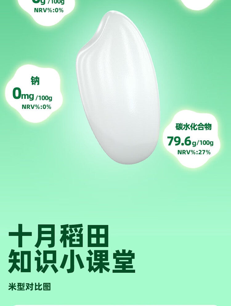 十月稻田 【爆款东北大米】颗粒饱满 清香耐嚼长粒香米(一年一季新米)300g*1袋