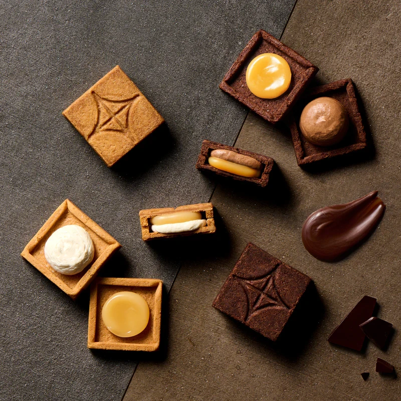 【日本直郵】 日本 press butter sand 超人氣網紅餅乾期間限定包裝 兩種口味黃油夾心餅乾組合裝 原味x巧克力黃油 2盒裝