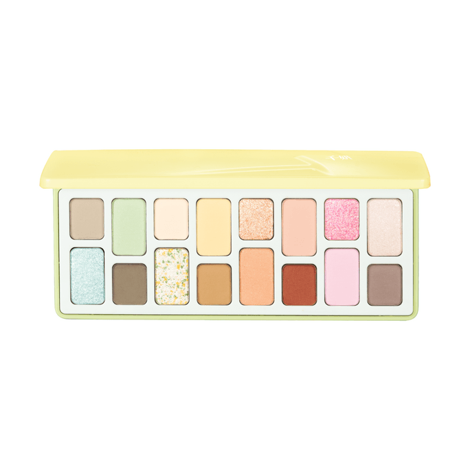 Sixteen-color Eyeshadow Palette #14 16g