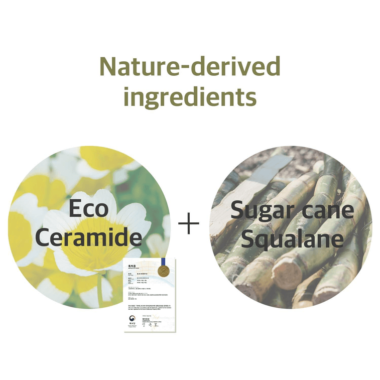 【美国直邮】韩国 ROUND LAB 大豆卸妆油 200毫升 3