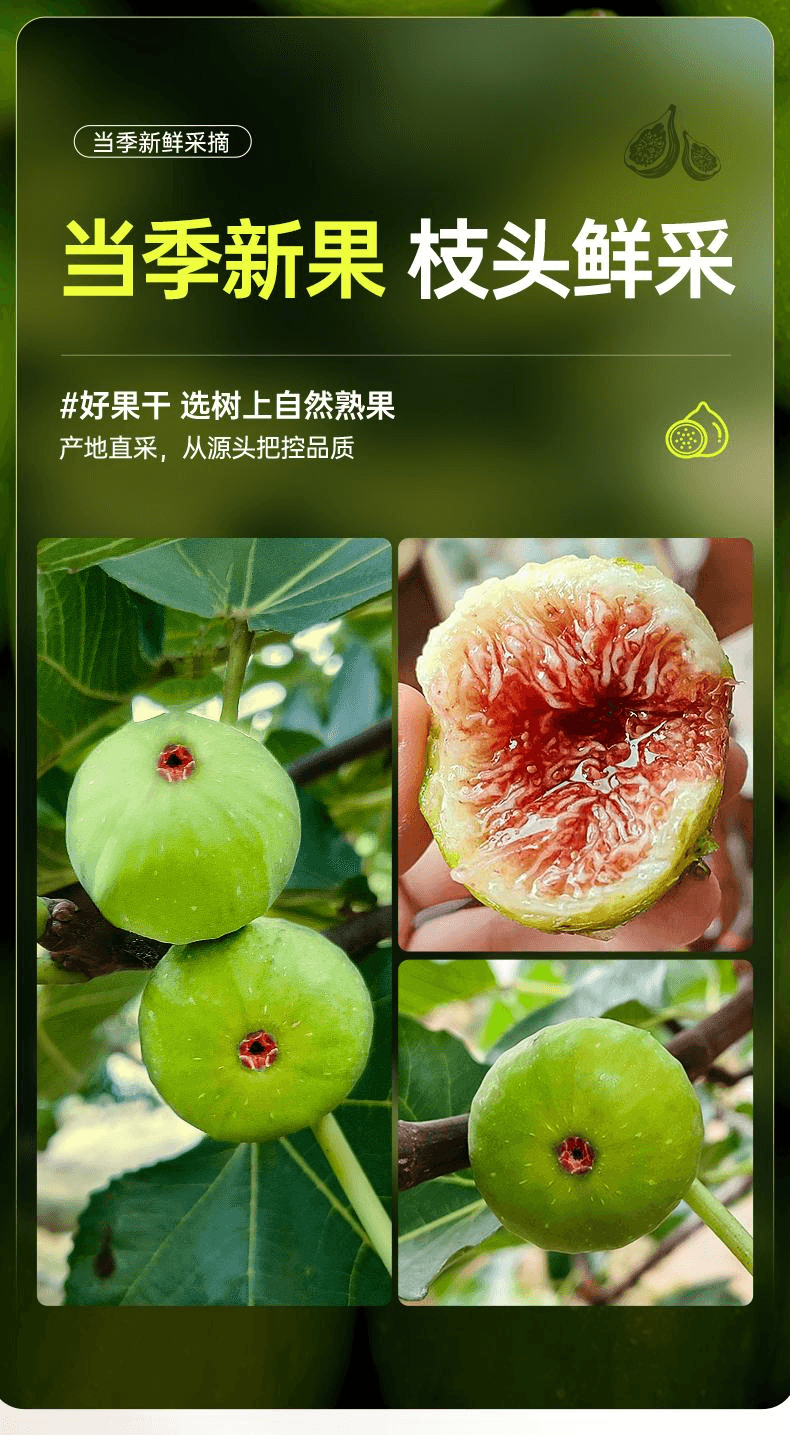 【中國直郵】 璞匠 旗艦店煲湯泡水水果乾新貨即食青皮無花果乾125g*1罐