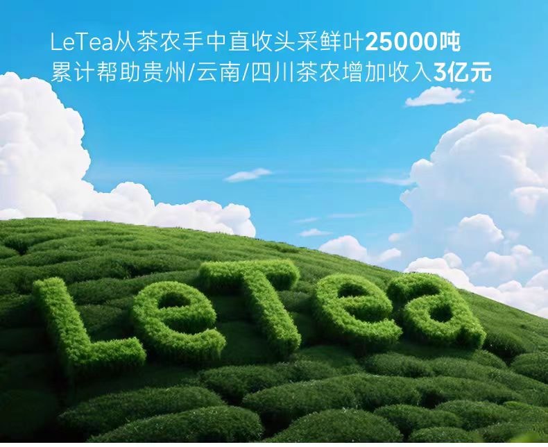 【中國直郵】 樂品樂茶 LeTea 春遊冷泡茶袋泡茶果茶0糖飲品 回購爆款 五味清甜果茶31g(10包)