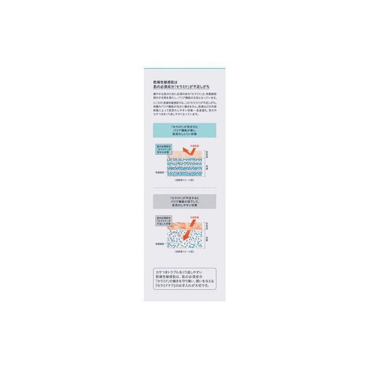 【日本直郵】 日本 KAO 花王 洗面奶 300毫升 有消炎成分 保護肌膚必需成分“神經醯胺” 細膩泡沫 溫和潔淨 不緊繃 適合乾燥性敏感肌 3