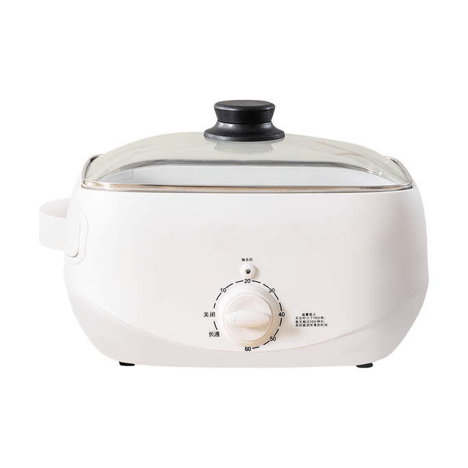 Small Mini Multifunctional Electric Steamer Rice Noodle Maker