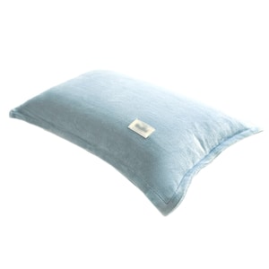 【中國直郵】 HSPM 冬季加厚牛奶絨枕套 48cmx74cm 珊瑚絨枕頭套 水藍 1只裝
