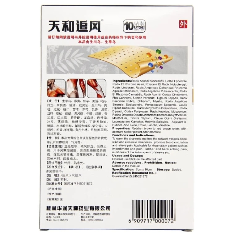 【中国直邮】 天和 追风膏 祛风湿活血止痛关节腰背疼痛 5贴*2袋