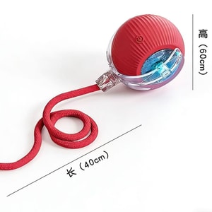 product 12